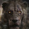 SOS profil fotoğrafı