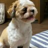 あきポン's profile picture