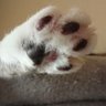るい🐾(=^・・^=) 的头像