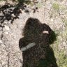 Suzan's profile picture