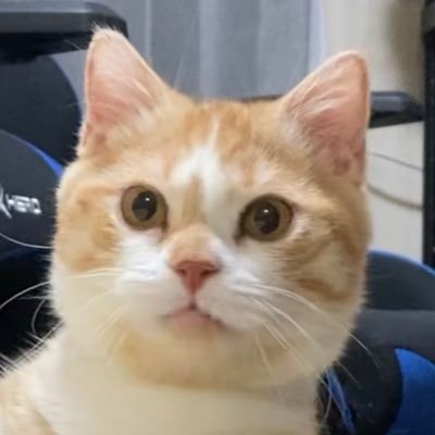 kotaro_0315's profile picture