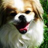 Profilbild von AshRehd