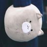⟭⟬さやコ⟬⟭🐇's profile picture