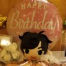 みー🍃's profile picture