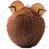 mrgnut's profile picture