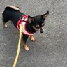 Фото профиля ベッキーの父さん