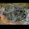Фото профиля وسيم يوسف الضاااالعي