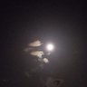 にーにょ🌕's profile picture