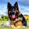 Profilbild von BaersMom