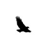 rm's profile picture