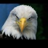 🦅Unashery🦅 profil fotoğrafı