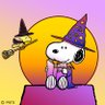 Profilbild von くーたん