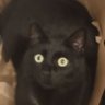 Helle Brezel's profile picture