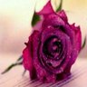زمردة's profile picture