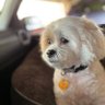 Melinda Aldison's profile picture