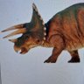 Triceraterf's profile picture