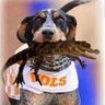 Profilbild von Doug