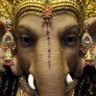 matem sodyod profil fotoğrafı