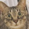くうちゃんとこはる profil fotoğrafı