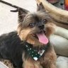 Patsy Plemmons's profile picture