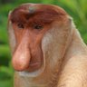 Profilbild von Lolek