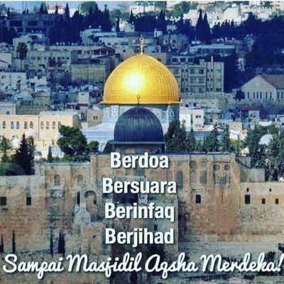 #IndonesiaUnitedForPalestine🇲🇨❤️🇵🇸's profile picture
