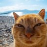 Būs labi's profile picture