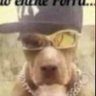 frank's profile picture