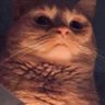 Profilbild von 4Real4Real