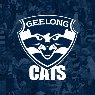 GeelongVFL's profile picture