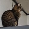 変態しんちゃん😁 profil fotoğrafı