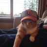 joseph kenney's profile picture