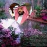 Profilbild von لطيفه