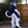Matrix - The Tea Husky 🔜 CFz 2025's profile picture