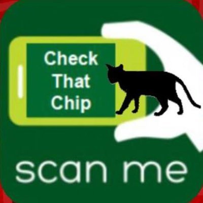 CatsMissing's profile picture