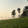 Mohmmad's profile picture