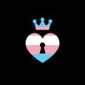 Profilbild von MV Trans