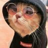 FS's profile picture