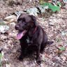 Maggie-Mae 🇺🇸🦅 profil fotoğrafı
