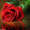 آتعبنيـﮯ غلآگ 💔's profile picture