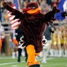 Virginia Tech Hokie profil fotoğrafı