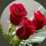 Profilbild von A
