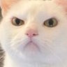 Profilbild von ななまがり
