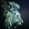 Djeep's profile picture