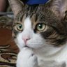 まさあき's profile picture