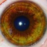 Temporal Lucidity's profile picture