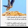 Фото профиля ابو ناصر الجربوعي