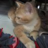 hhhheeerrrrrOoo profil fotoğrafı
