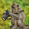 Ronit Sharma 🇮🇳 🇸🇱 的头像