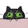 Kitty profil fotoğrafı